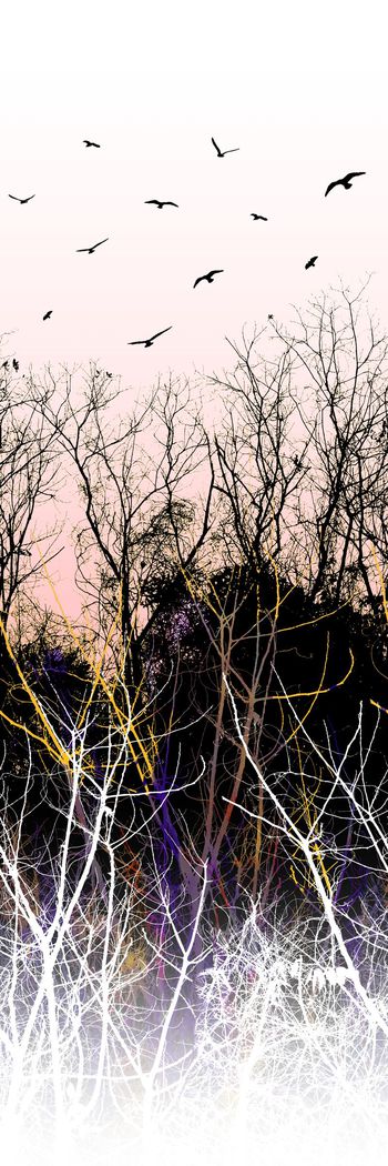 305097-定位树木树林