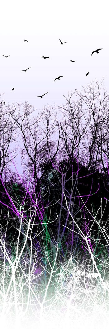 305098-定位树木树林