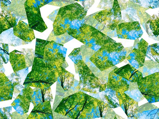 碎片花卉印花华亿平台图片