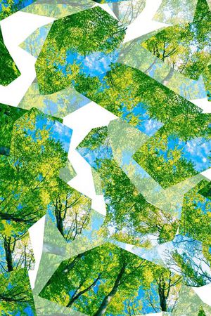 碎片花卉印花华亿平台图片