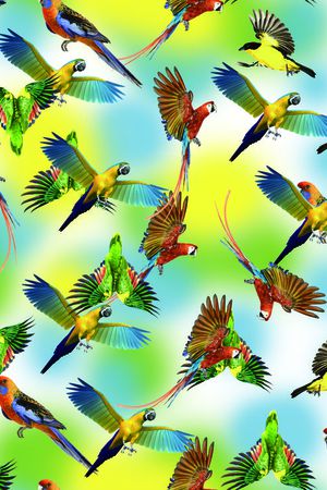 摄影写实印花华亿平台图片