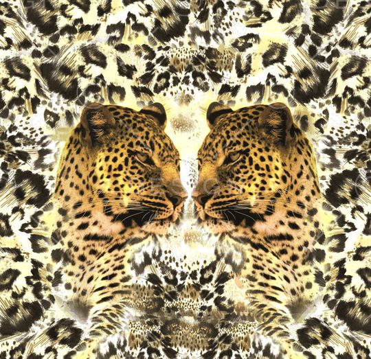 豹子印花华亿平台图片