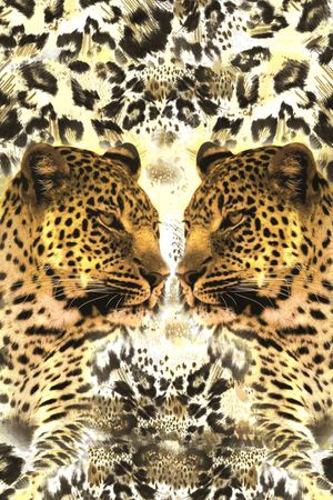 豹子印花华亿平台图片