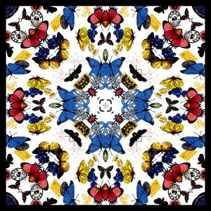 蝴蝶印花华亿平台图片