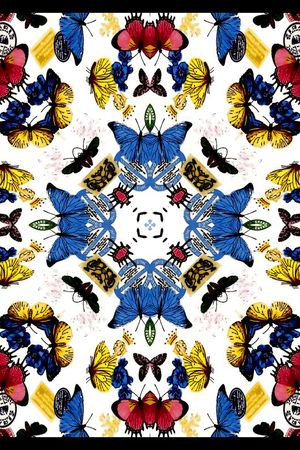 蝴蝶印花华亿平台图片