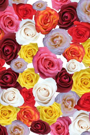 花朵印花华亿平台图片