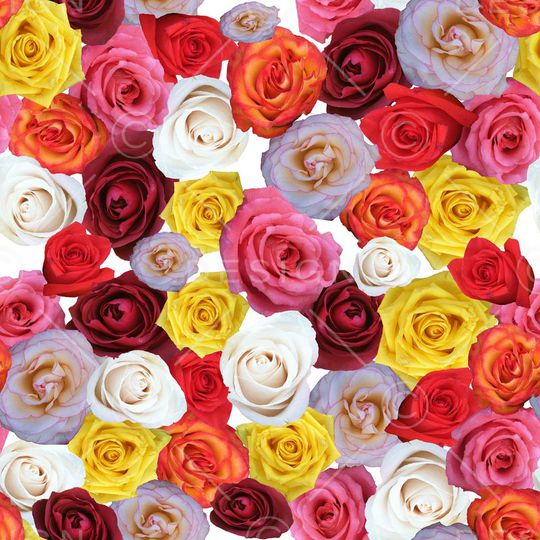 花朵印花华亿平台图片