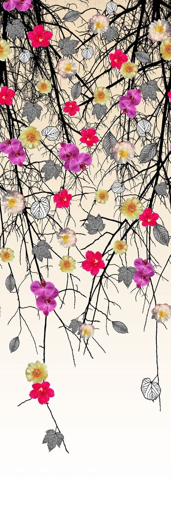 305729-定位树枝花卉花朵组合