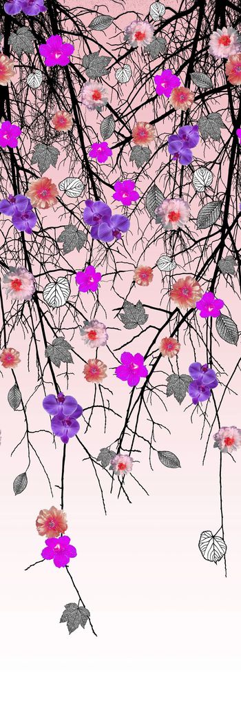 305730-定位树枝花卉花朵组合