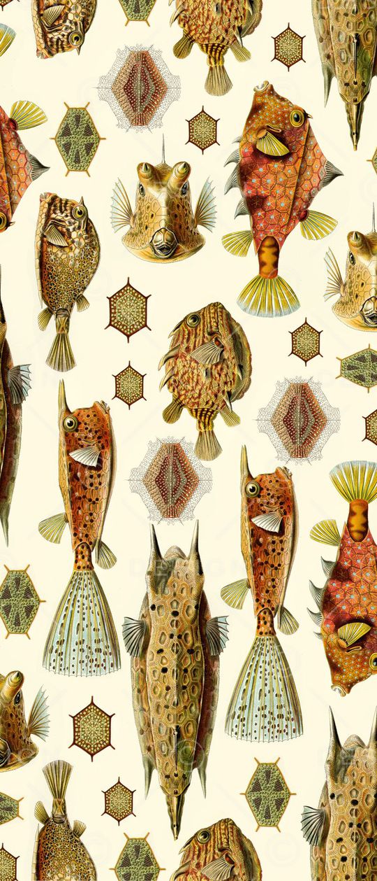 fugu印花华亿平台图片