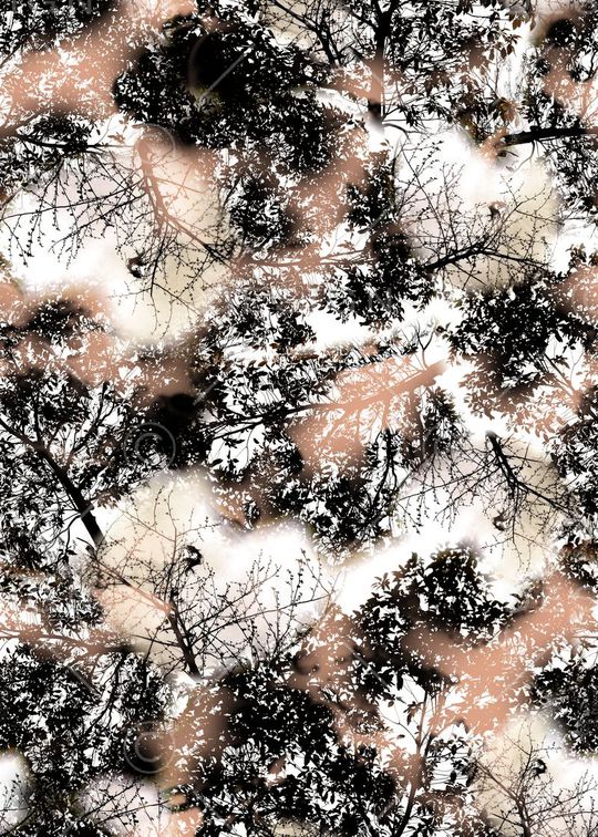 树枝枯枝印花华亿平台图片