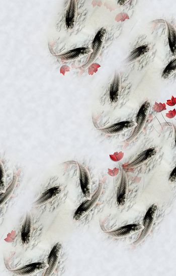 305922-水墨鱼鱼定位