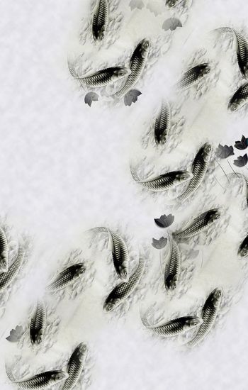 305923-水墨鱼鱼定位