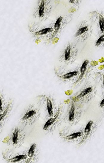 305924-水墨鱼鱼定位