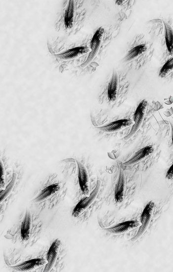 305925-水墨鱼鱼定位