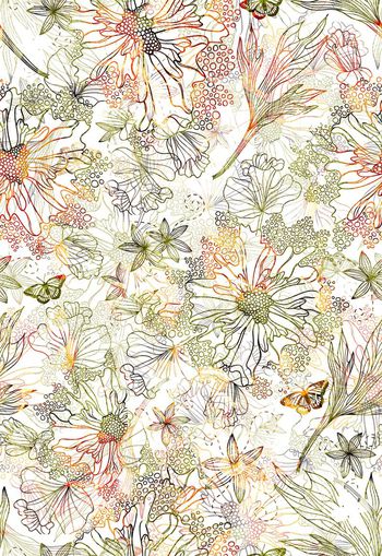 306007-WT288清雅清新满布蝴蝶水彩花卉