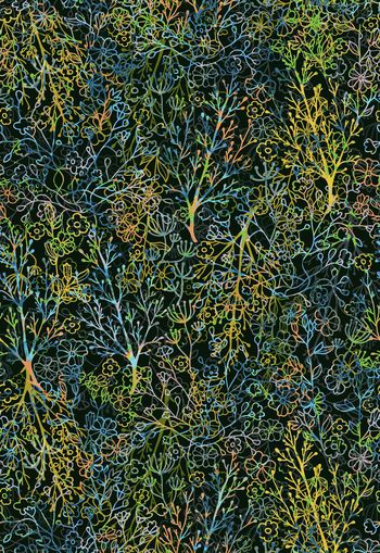 306027-线条花卉丛林植物满布华亿平台印花