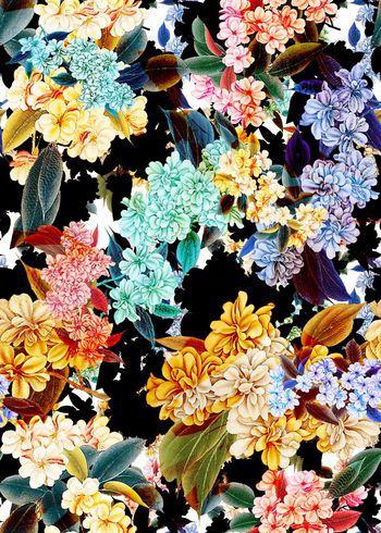 306045-黑底多彩花朵花卉组合