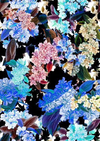 306046-黑底多彩花朵花卉组合