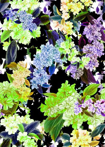 306047-黑底多彩花朵花卉组合