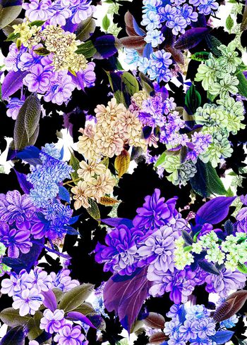 306048-黑底多彩花朵花卉组合