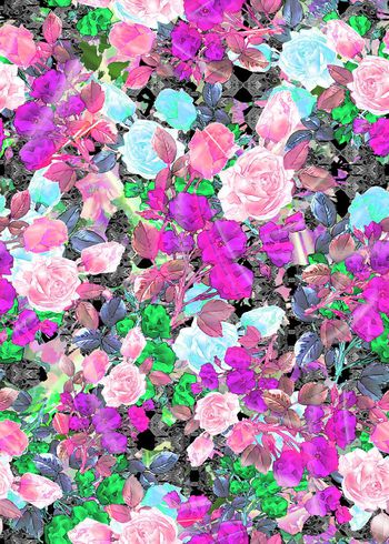 306218-多彩花卉花朵组合