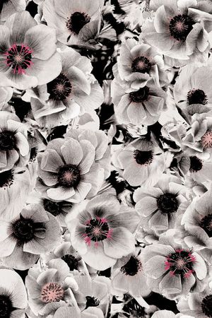 泼墨印花华亿平台图片