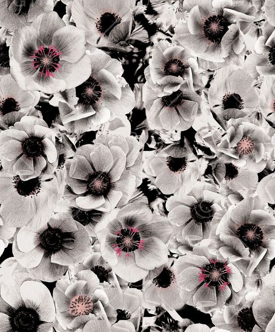 泼墨印花华亿平台图片