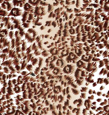 豹纹。皮毛肌理印花华亿平台图片