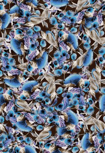 306440-WT293神秘花鸟麻雀小鸟森林休闲