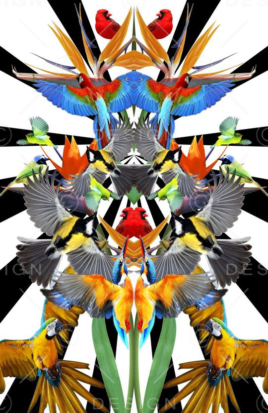 油画花鸟印花华亿平台图片