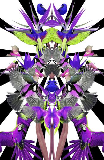 306459-定位对称花鸟小鸟麻雀几何组合印花