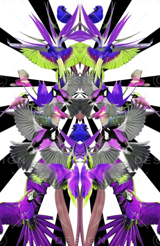 休闲印花华亿平台图片