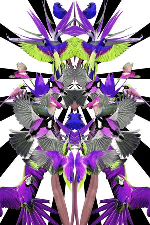 休闲印花华亿平台图片