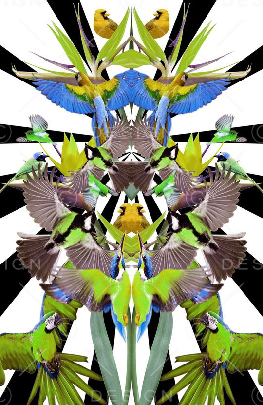 休闲印花华亿平台图片