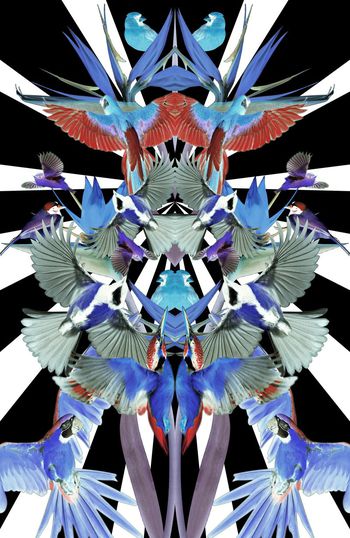 306461-定位对称花鸟小鸟麻雀几何组合印花