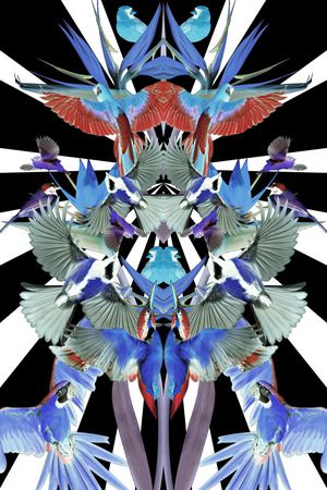 休闲印花华亿平台图片