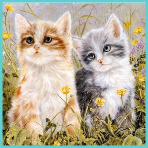 优化猫咪印花华亿平台图片