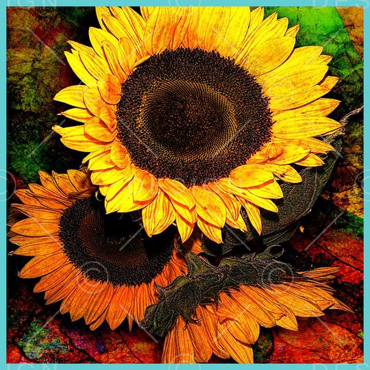 油画花卉印花华亿平台图片