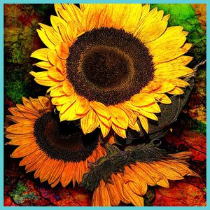 油画花卉印花华亿平台图片