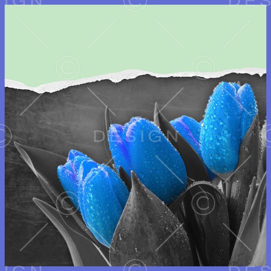 摄影写实花卉印花华亿平台图片