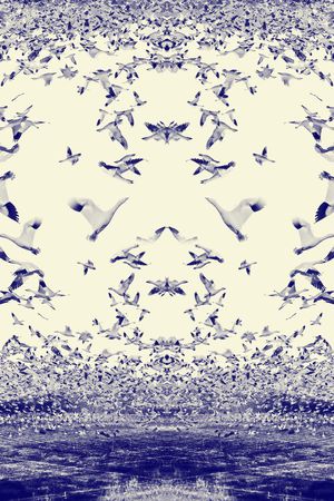 抽象印花华亿平台图片