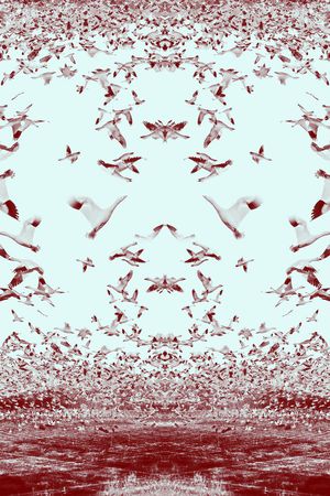 印花华亿平台图片