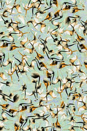 手绘水彩小鸟印花华亿平台图片