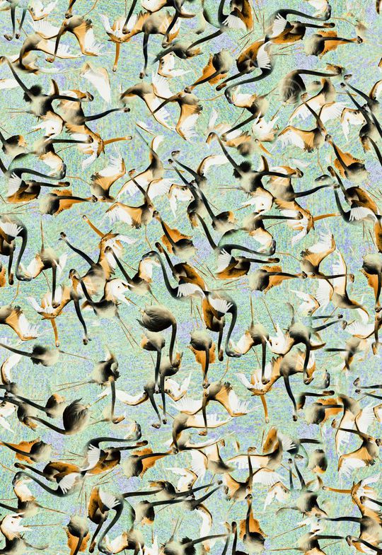 手绘水彩小鸟印花华亿平台图片