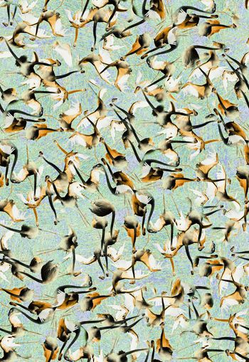 306491-WT297满布乱花写实丹顶鹤小鸟印