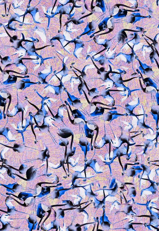 印花华亿平台图片