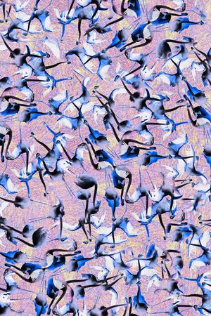 印花华亿平台图片