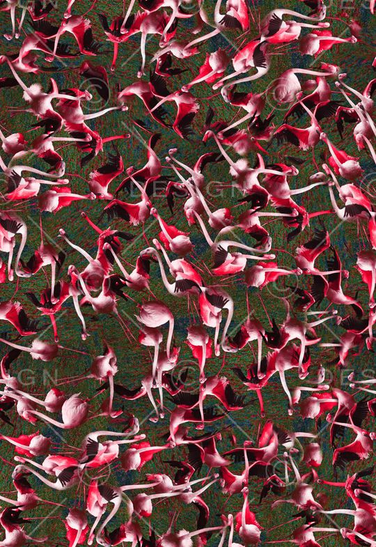 印花华亿平台图片