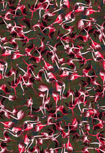 306493-满布乱花写实丹顶鹤小鸟印花华亿平台